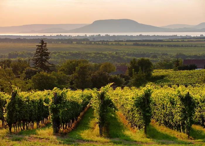 With Pool In 55233 *